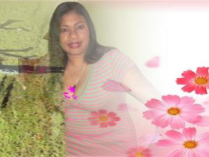 A Rose In Full Bloom Picture