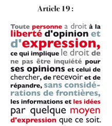 droits de l'homme article 19
