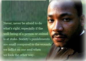 Martin Luther King quote
